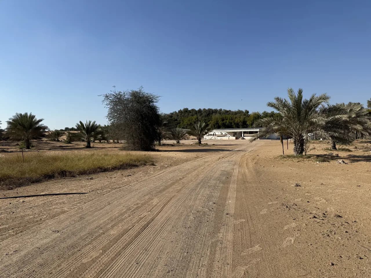 Al Zahya H by Emirates Properties, Al Helio
