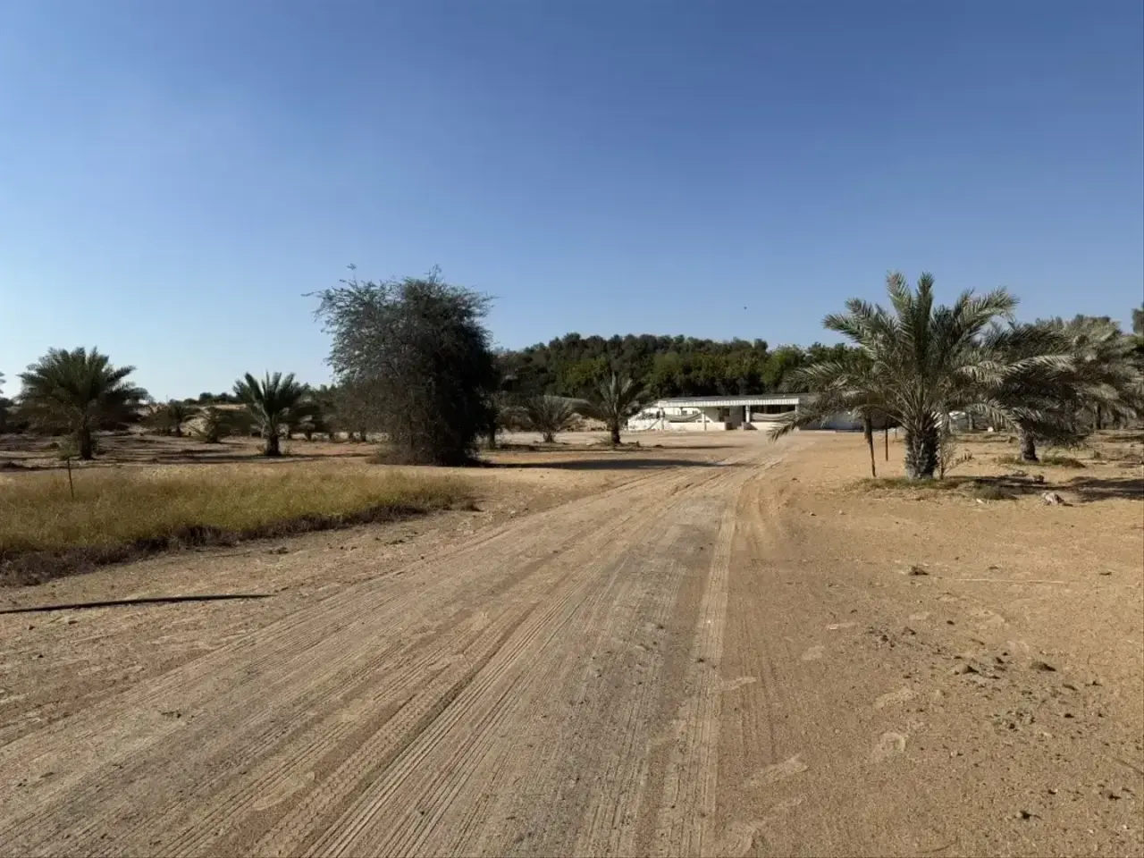 Al Helio: Al Zahia M by Emirates Properties, Al Helio